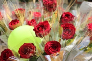 SANT JORDI 2023 (1)