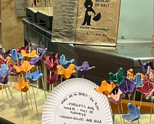 mercat de salt (10)