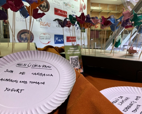 mercat de salt (9)
