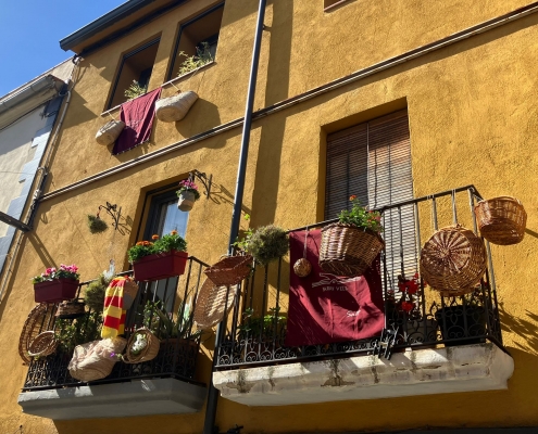 Fira Cistell Diumenge (1)