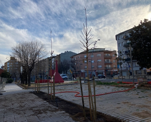 Arbrat BRCAT (4)