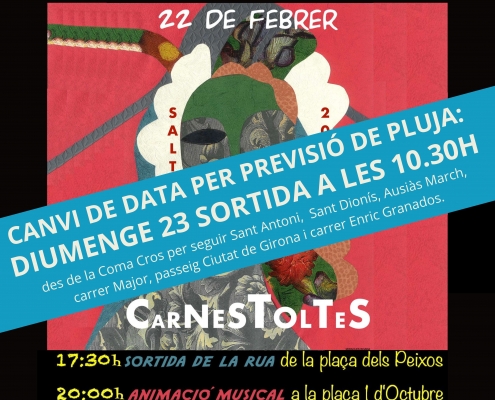 BÀNNER CARNESTOLTES - 1080x920mm