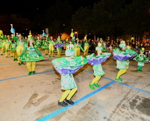rua carnestoltes (6)