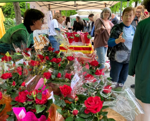 Diada de Sant Jordi 25 (5)
