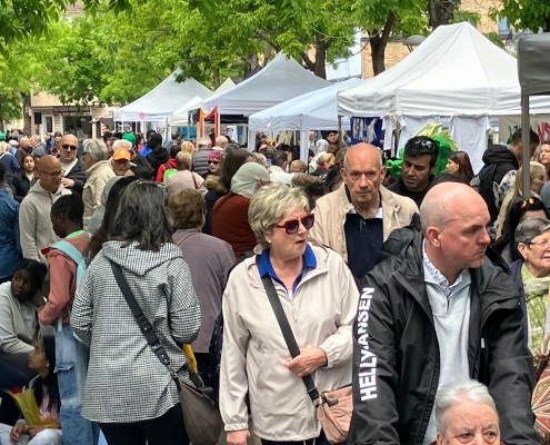 SANT JORDI (2)