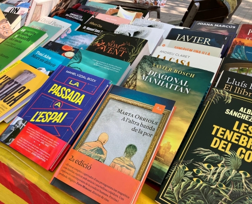 Sant Jordi 25 Salt (1)