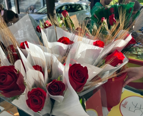Sant Jordi 25 Salt (2)