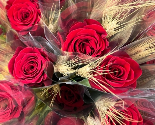 mes sant jordi 25 (2)