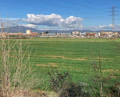 Campus de Salut Terrenys (1)