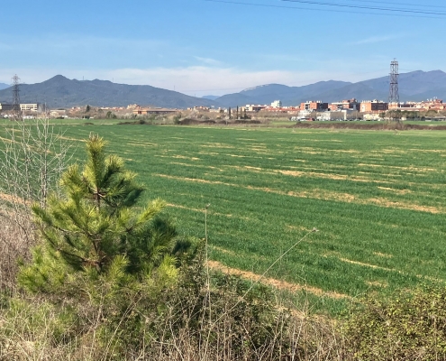 Campus de Salut Terrenys (2)