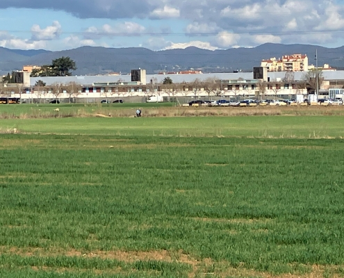 Campus de Salut Terrenys (3)