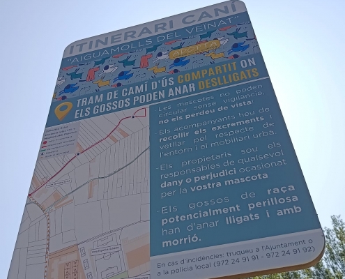 CAMÍ DE LA BASSA D'EN QUIRZE (3)