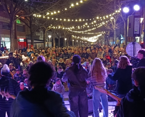 ENCESA ENLLUMENAT DE NADAL (2)