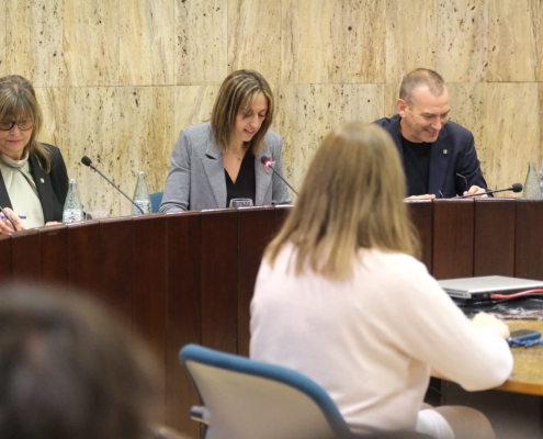 PLE INVESTIDURA CRISTINA ALARCÓN ALCALDESSA (13)