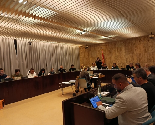 PLE ORDINARI DESEMBRE (1)