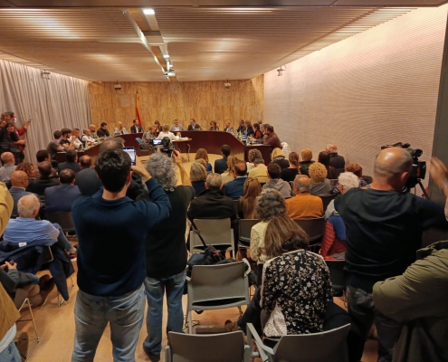 PLE RENÚNCIA JORDI VIÑAS (2)