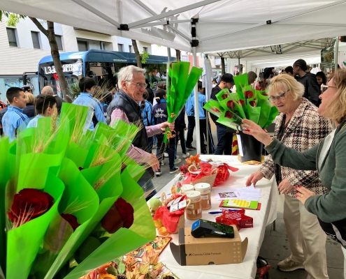 Diada de Sant Jordi 25 (1)