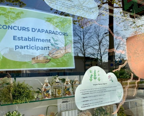 FARMÀCIA CENTRAL GUANYADORA CONCURS APARADORS (8)