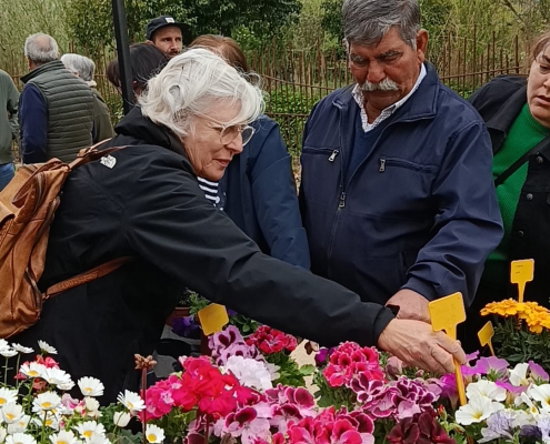FIRA DE LA FLOR I ELPLANTER 2026 (7)