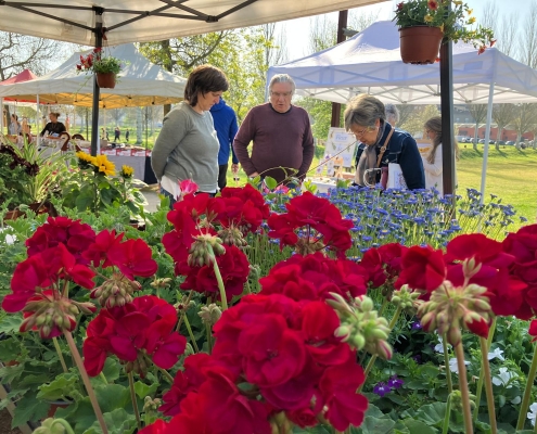 FIRA FLOR I PLANTER 2025 (22)