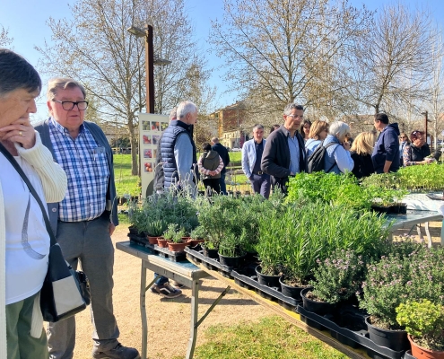 FIRA FLOR I PLANTER 2025 (30)