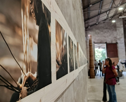 CICRA FIRA DEL CISTELL I EXPOS (5)