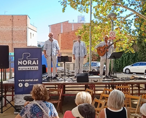 DIADA DE CATALUNYA SALT 26 (14)