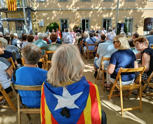 DIADA DE CATALUNYA SALT 26 (5)