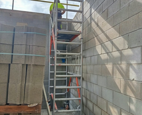 PLANTA BIOMASSA SALT (4)